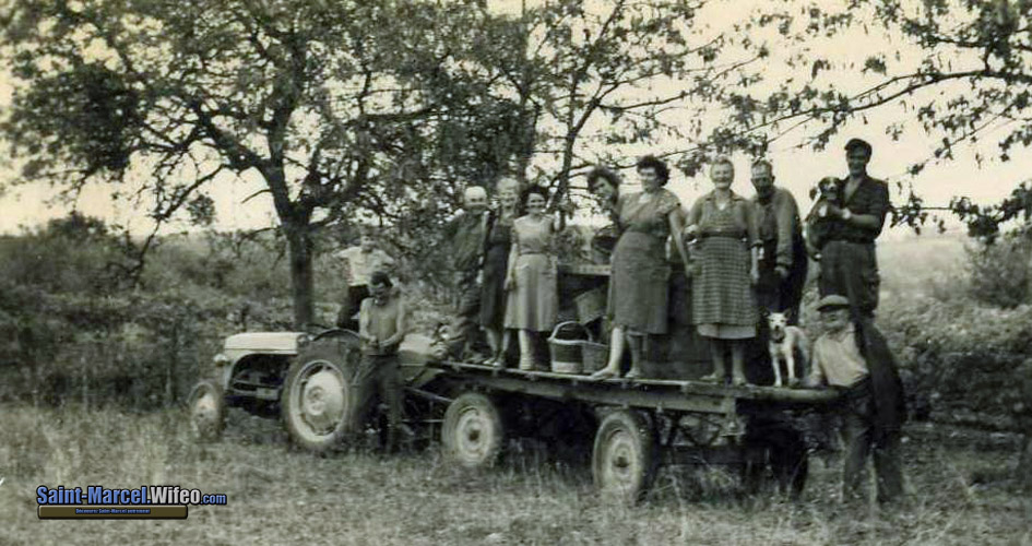 Les vendanges en 1969